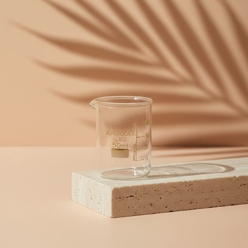 Borosilicate Glass Flat Bottom Lab Beakers (50ml, 10 pcs)