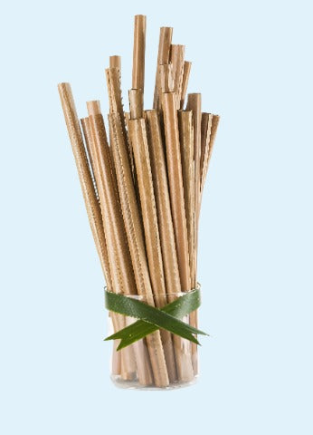 Regular Bamboo Straw 100pc