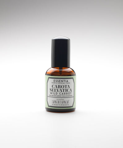 Essentia | Wild Carrot
