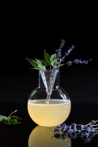 Stemy Glass