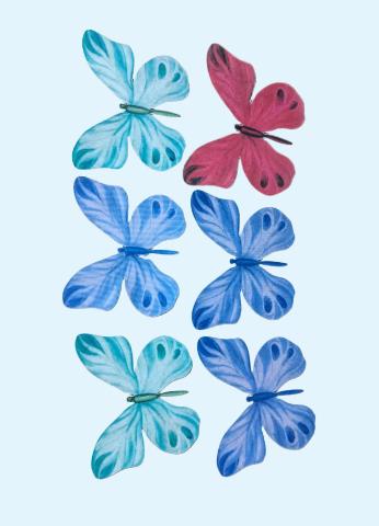 Large Butterfies Pack of 5