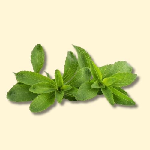 Dried Organic Stevia (100g)
