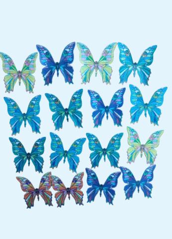 Medium Size Butterflies Pack of 5