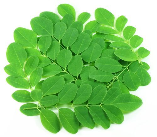 Dried Moringa Leaf (100g)