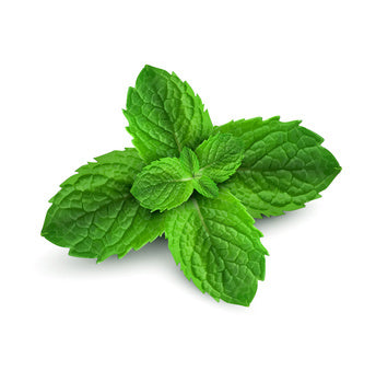 Organic Peppermint (100g)