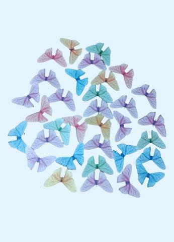 Small Size Butterflies Pack of 5