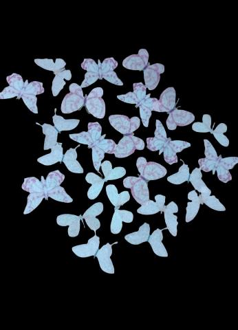 White Butterflies Pack of 5